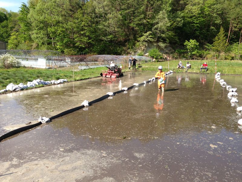 21. spread k-fertilizer.jpg