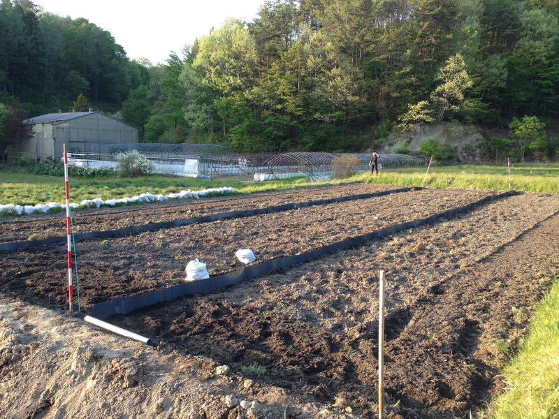 7. preparation of field.jpg