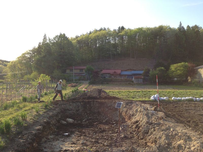 6. check a field.jpg