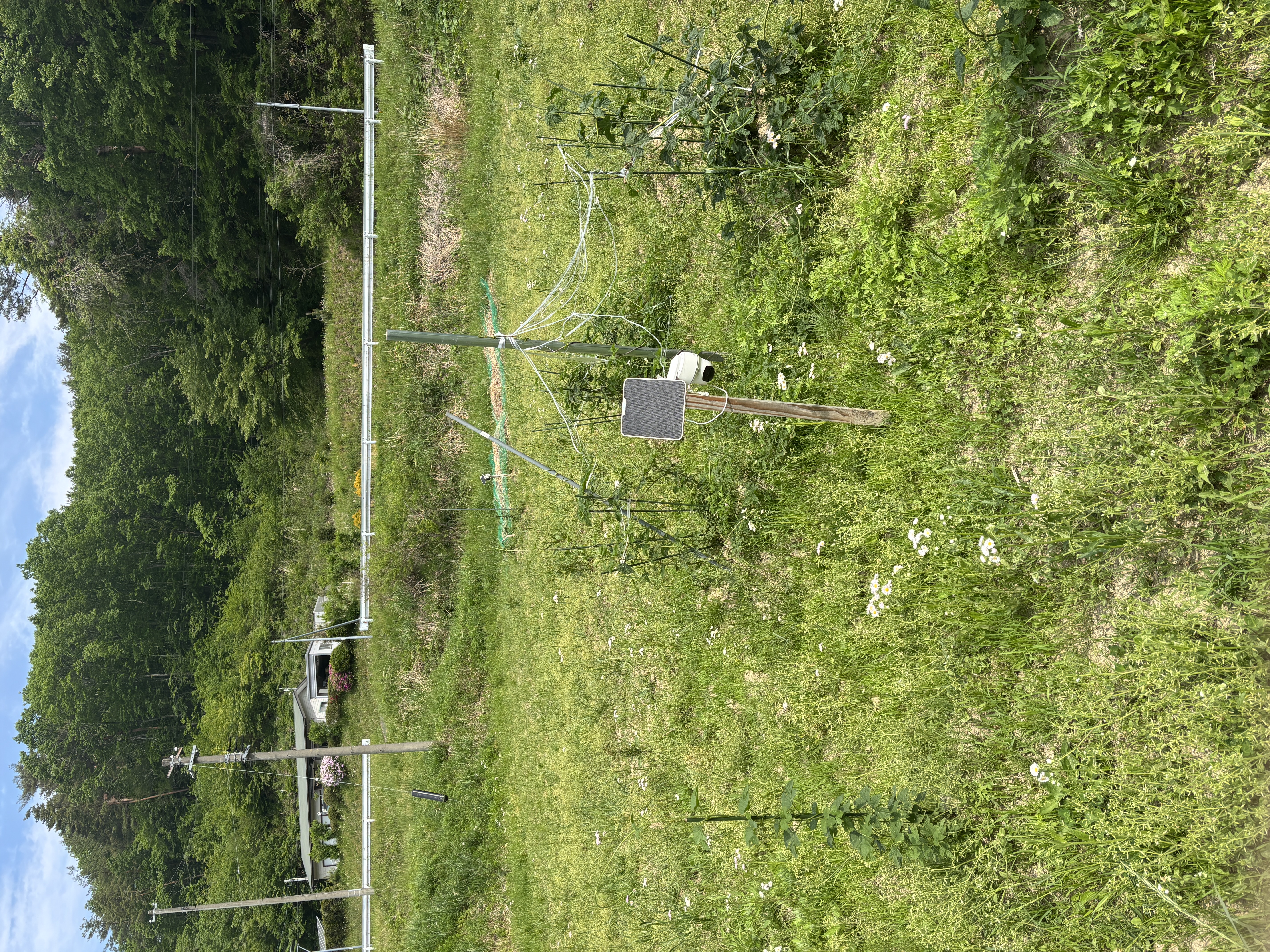 img_1433.jpg