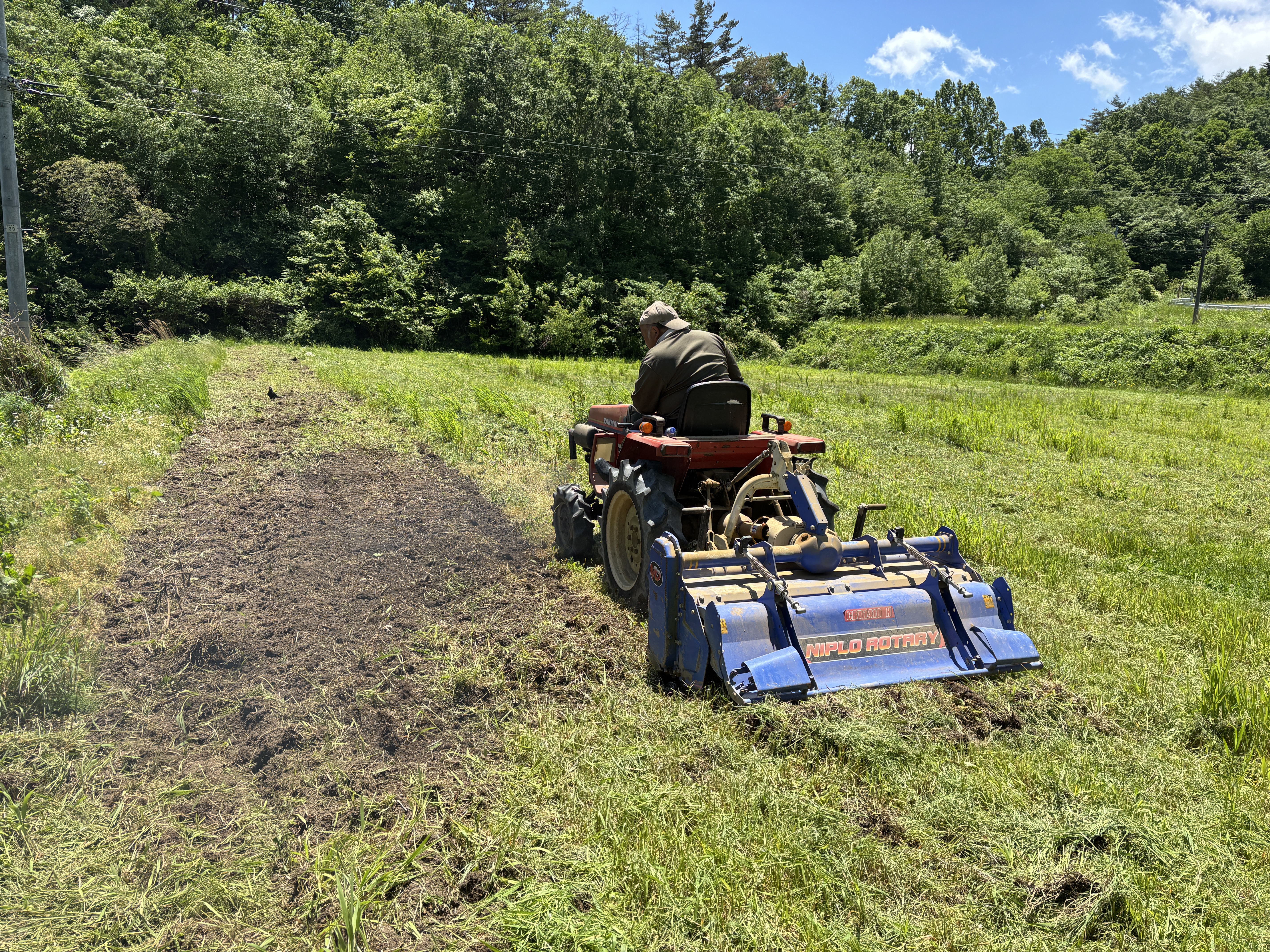 img_1490.jpg
