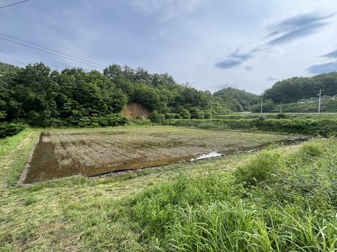 img_1691.jpg