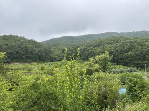 img_1877.jpg