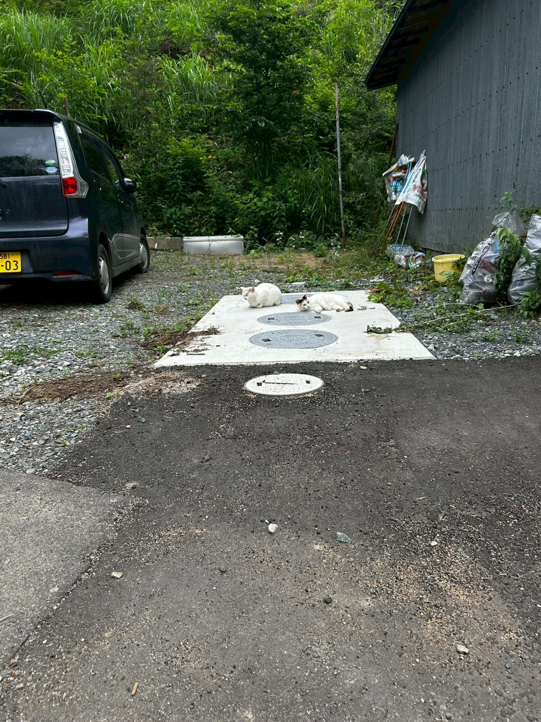 20.jpg