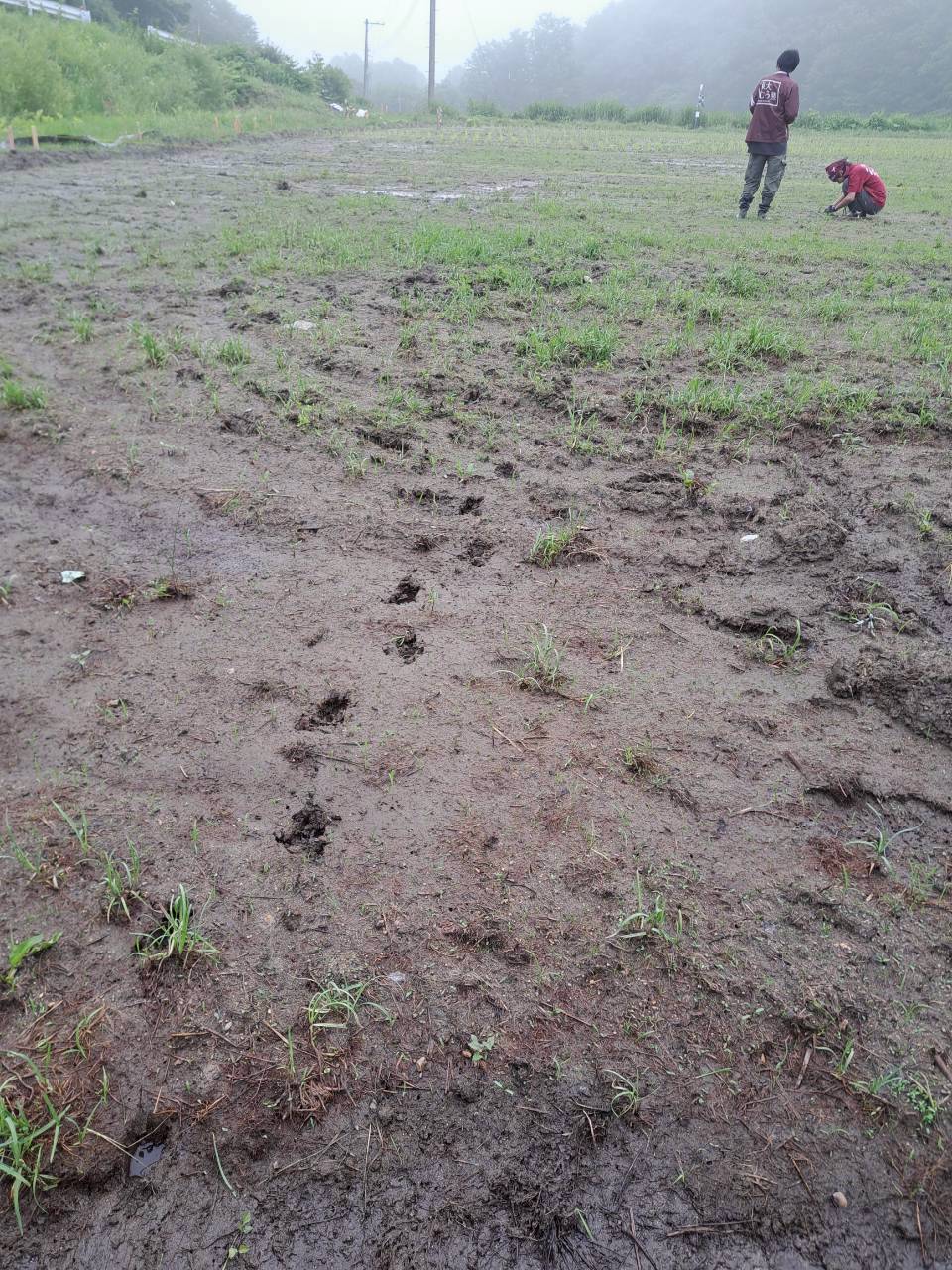 93.jpg