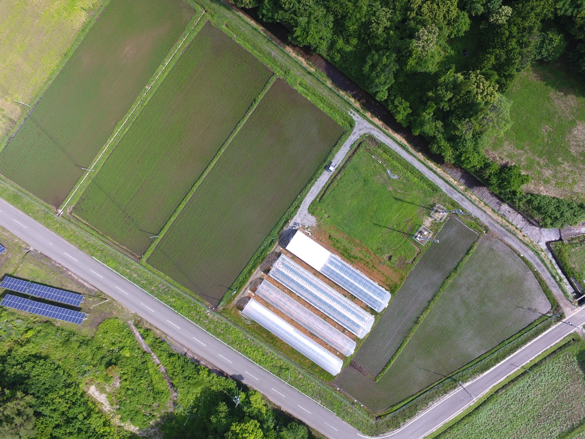 200628_drone_200629_19.jpg