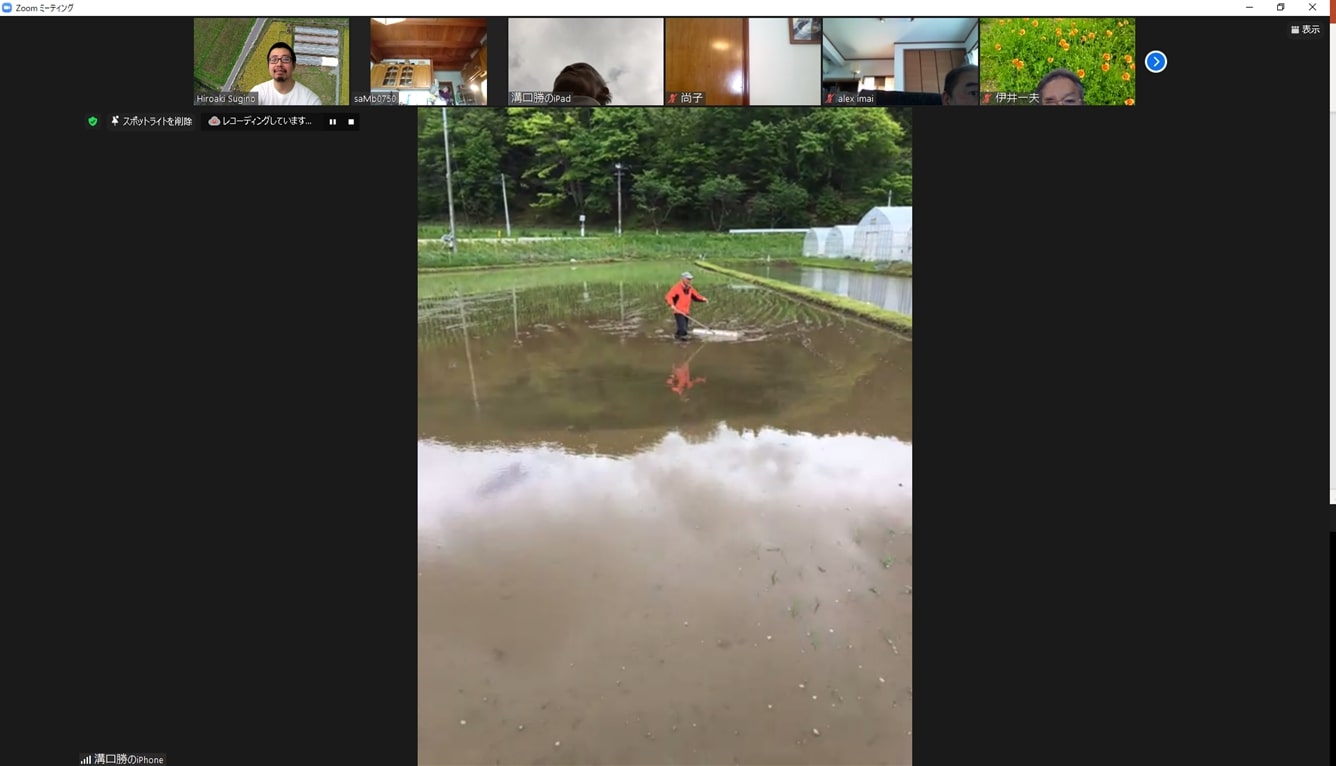 online_taue_02.jpg
