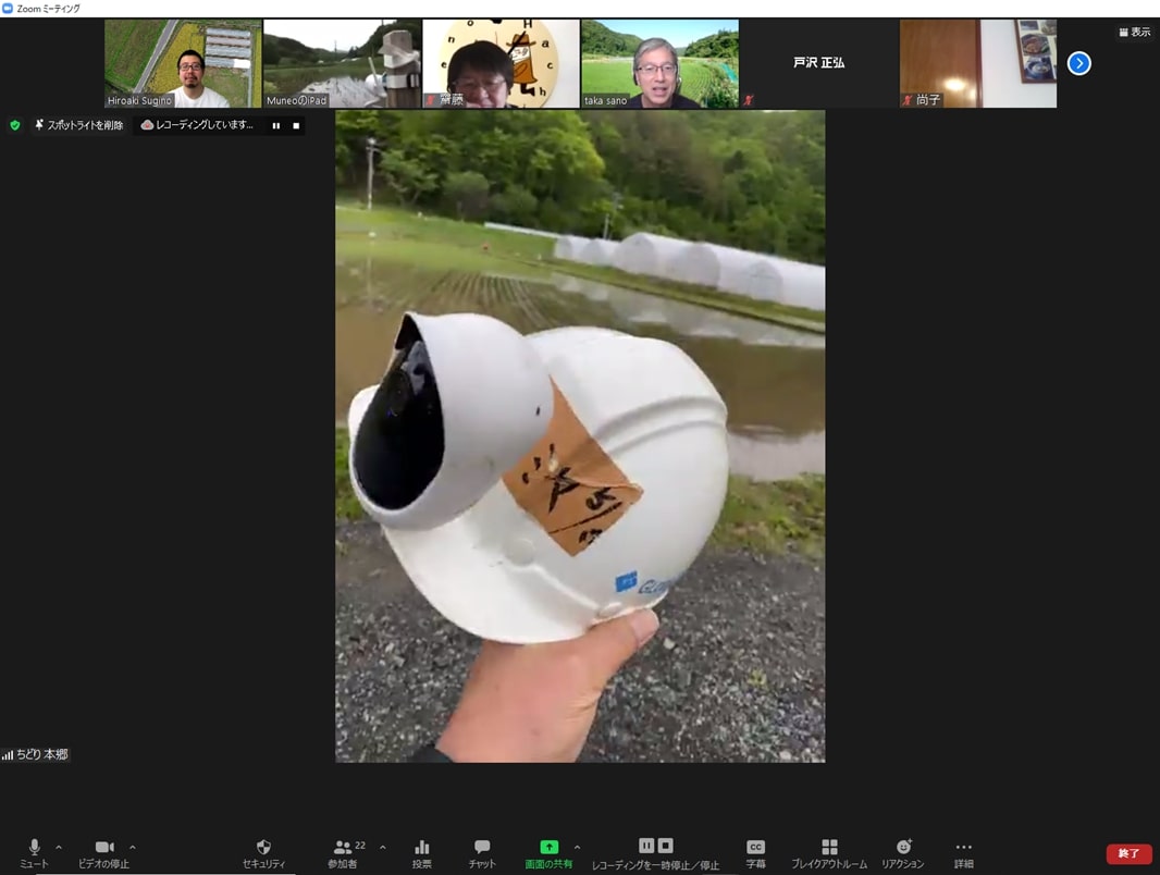 online_taue_20.jpg
