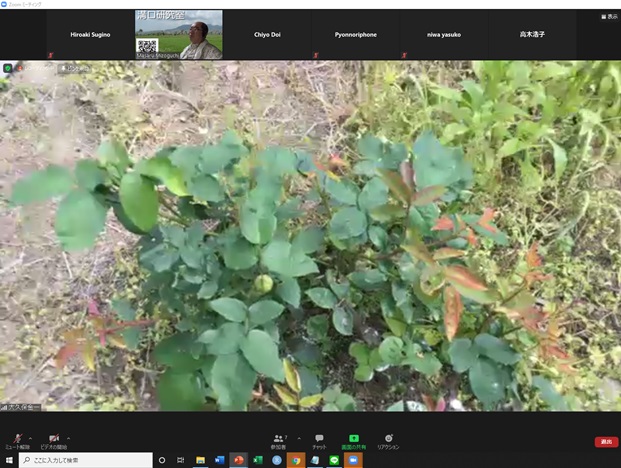 online_flower_walk_07.jpg