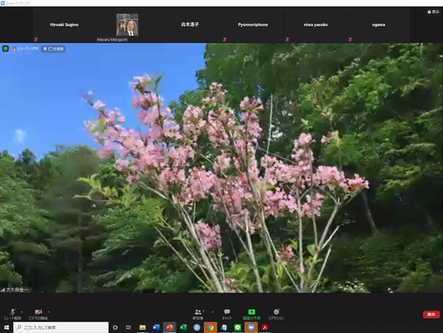 online_flower_walk_20.jpg