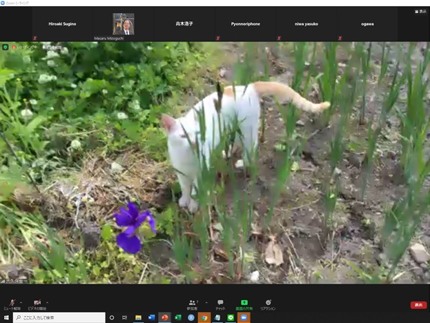 online_flower_walk_18.jpg