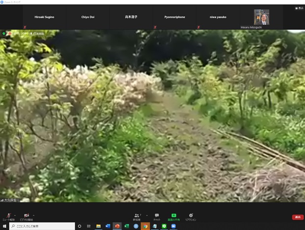 online_flower_walk_11.jpg