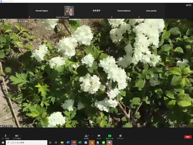 online_flower_walk_14.jpg