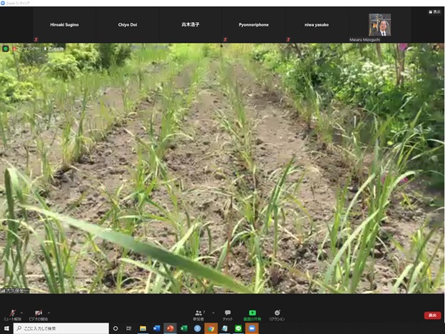online_flower_walk_13.jpg