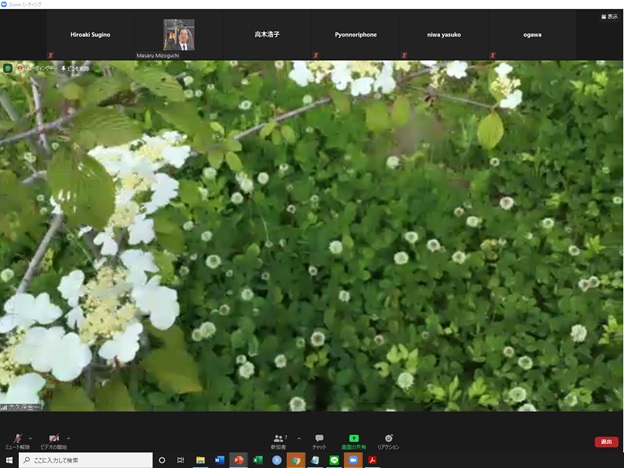 online_flower_walk_19.jpg