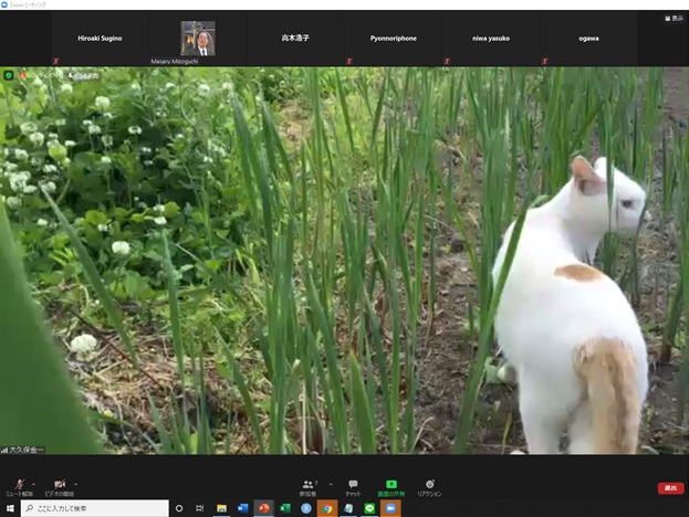 online_flower_walk_17.jpg
