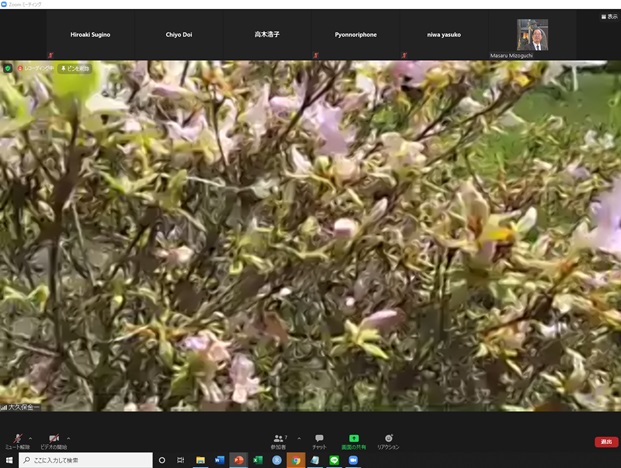 online_flower_walk_12.jpg