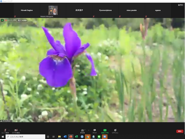 online_flower_walk_16.jpg