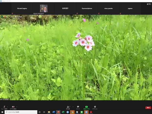 online_flower_walk_23.jpg