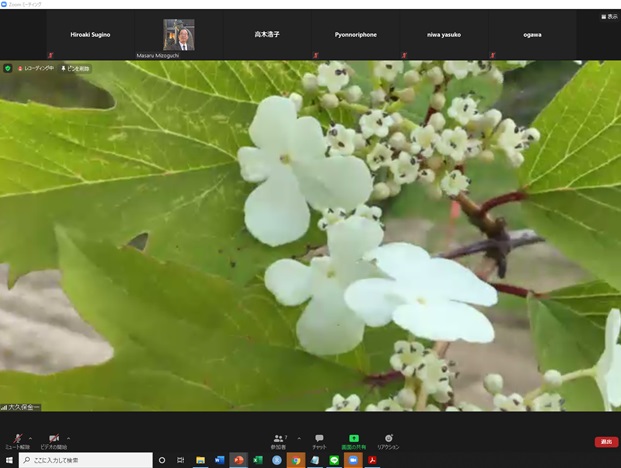 online_flower_walk_21.jpg
