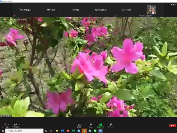 online_flower_walk_10.jpg