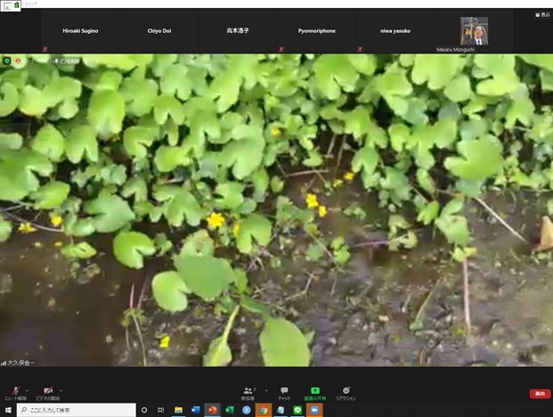 online_flower_walk_09.jpg
