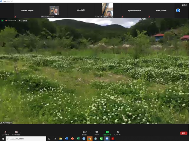online_flower_walk_25.jpg