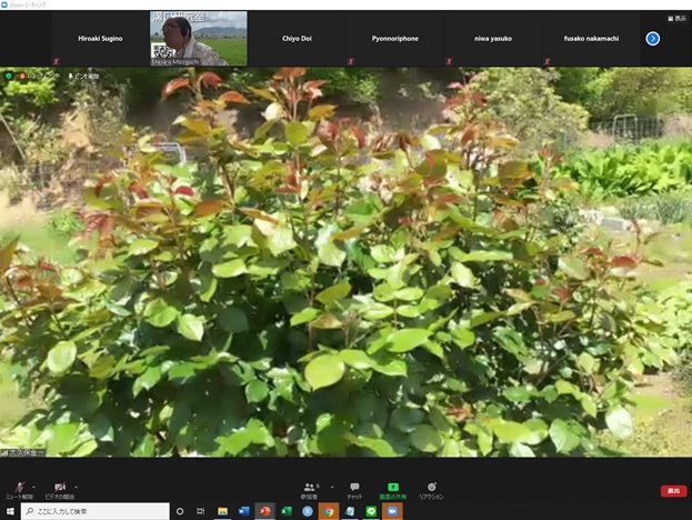 online_flower_walk_04.jpg