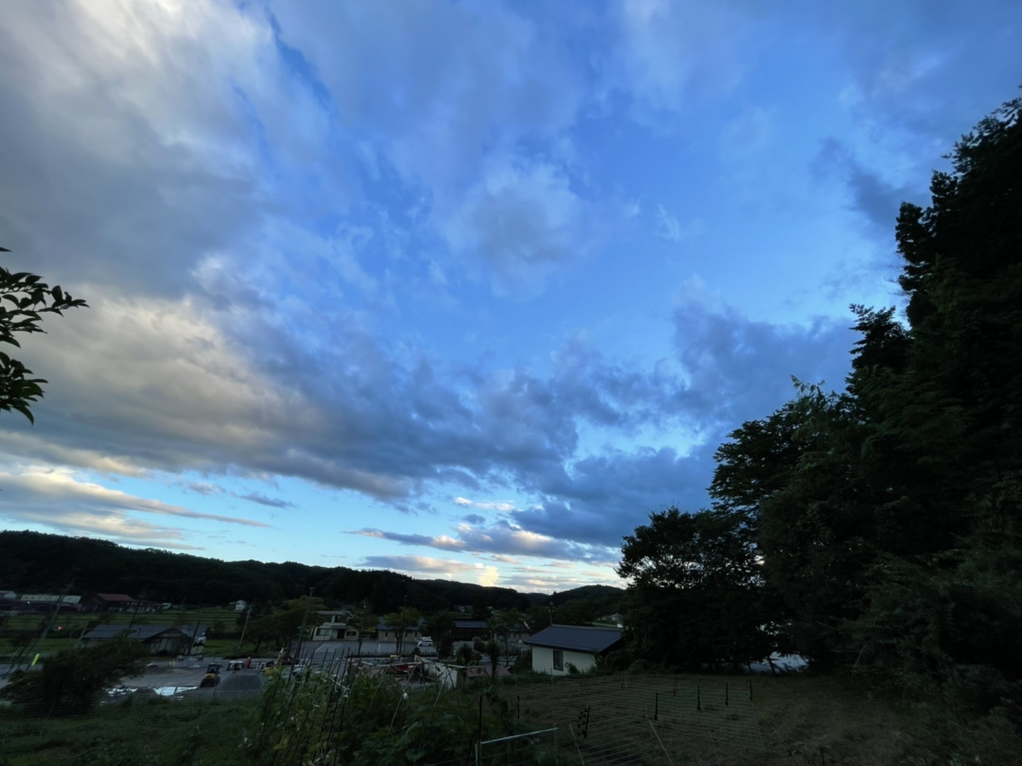 s__4096005.jpg