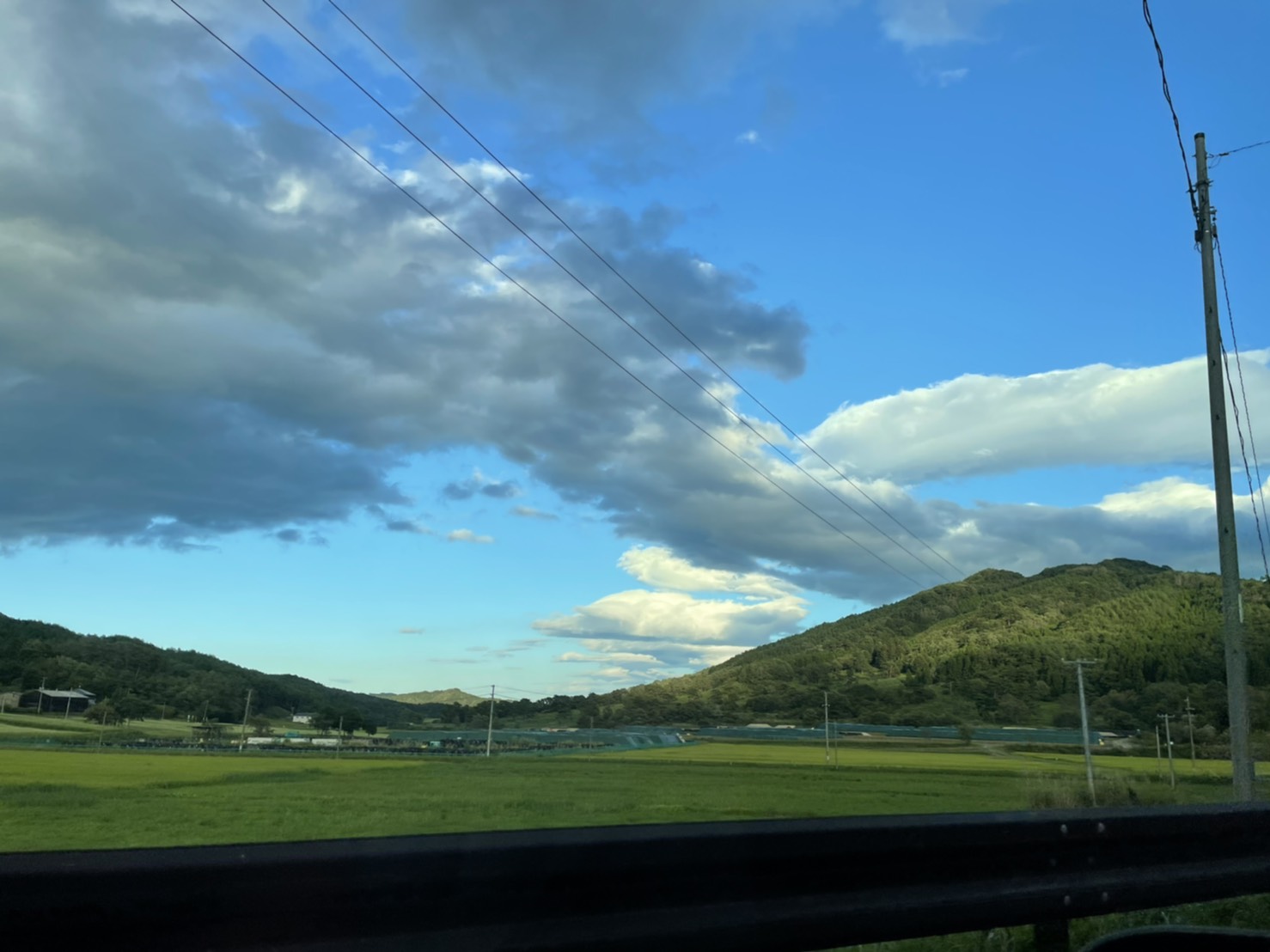 s__4096007.jpg